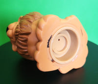 Fisher Price Little People Zoo Talkers Lion